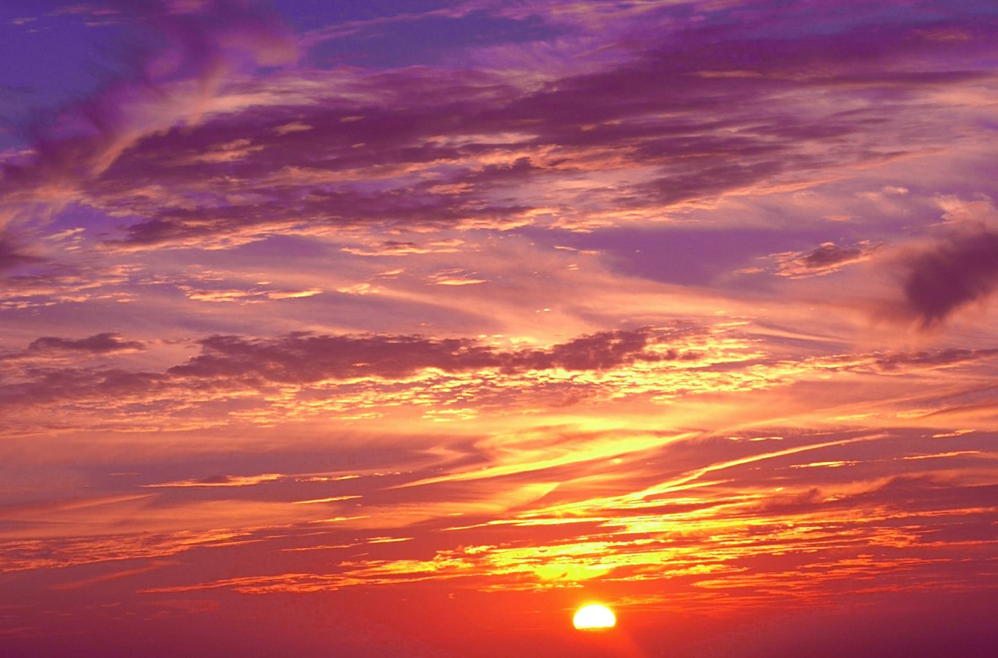 cropped-sun7.jpg