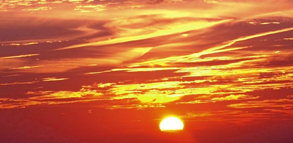 Musing with Margaret